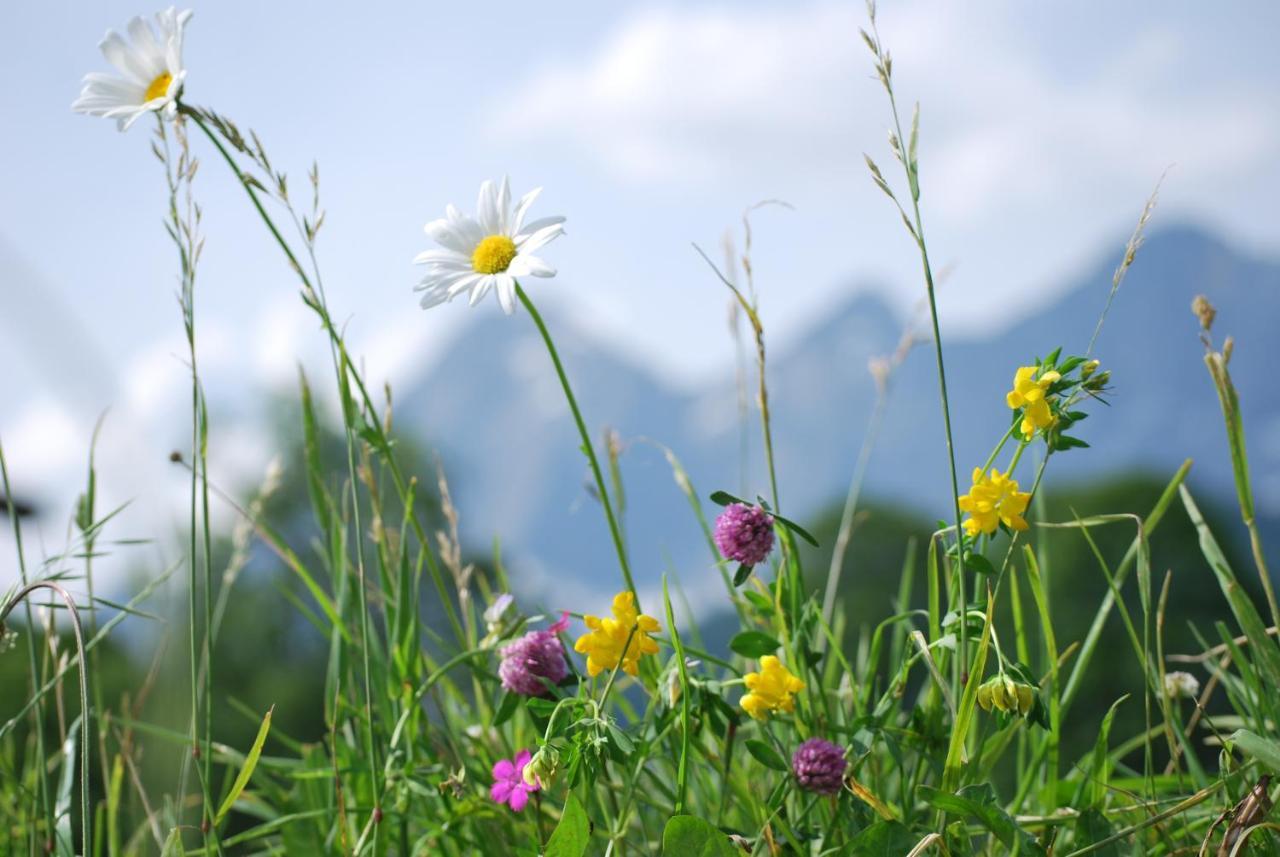 Appartements Blumenwiese Ramsau am Dachstein Exterior photo